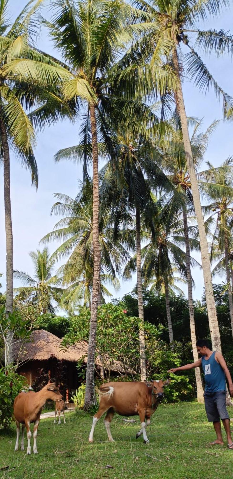Lendang Eco Lodge Senggigi Exterior foto